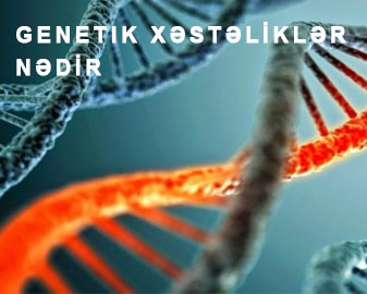 Genetik xəstəliklərlə bağlı açıq dərs təşkil edilib