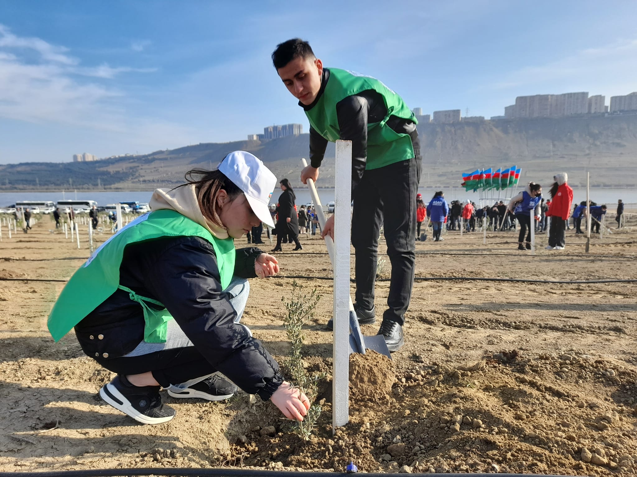 Our students took part in the tree planting campaign